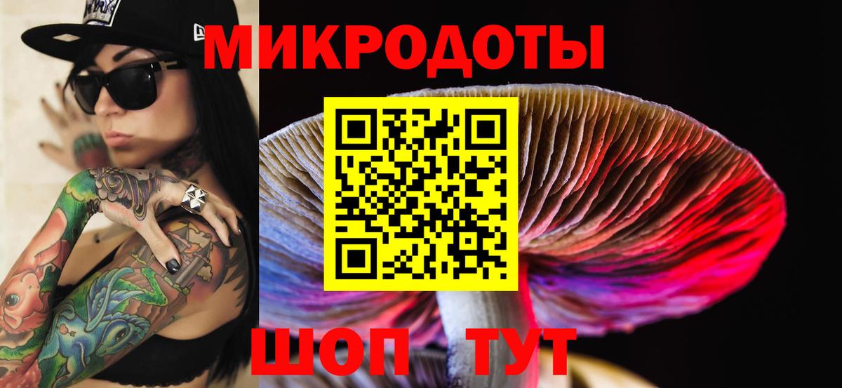 Усть-Илимск  Псилоцибиновые грибы прущие грибы  Вход с VPN 