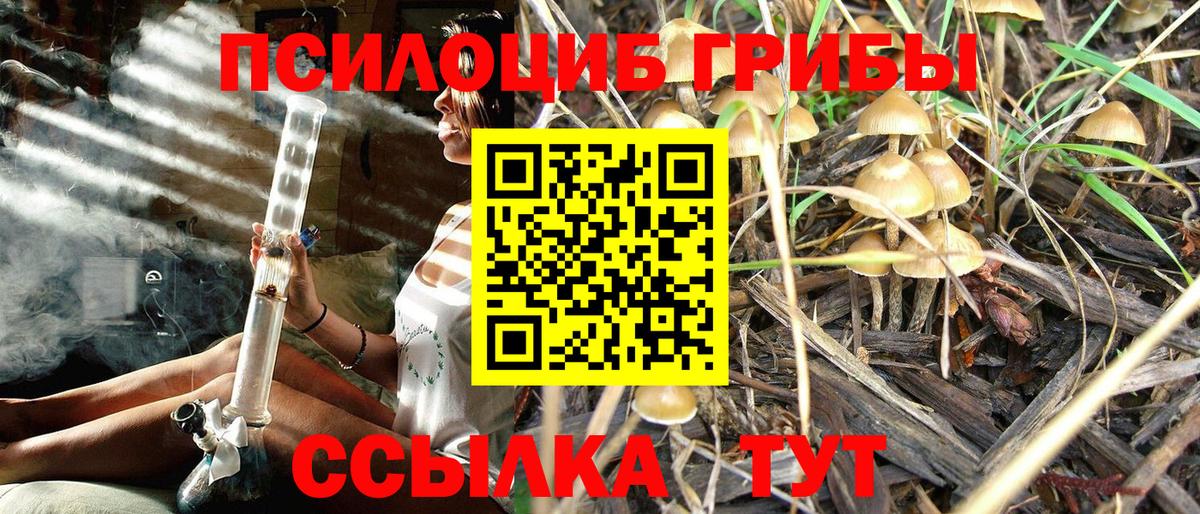 Галлюциногенные грибы Cubensis Усть-Илимск