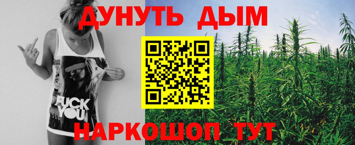 Бошки марихуана тримм  Вход с VPN  Каннабис планчик  Усть-Илимск 
